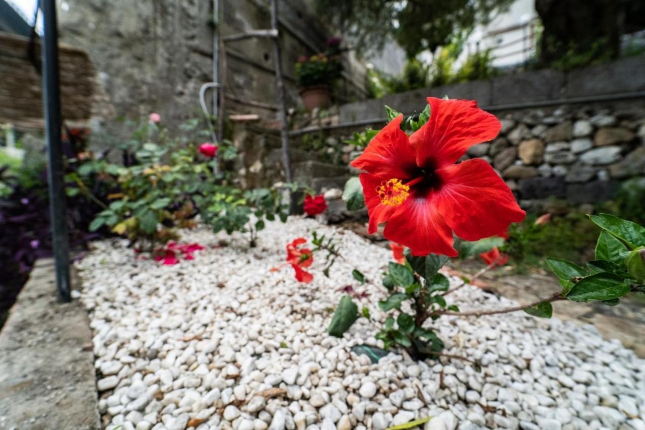 Villetta La Pietra Taormina Zewnętrze zdjęcie